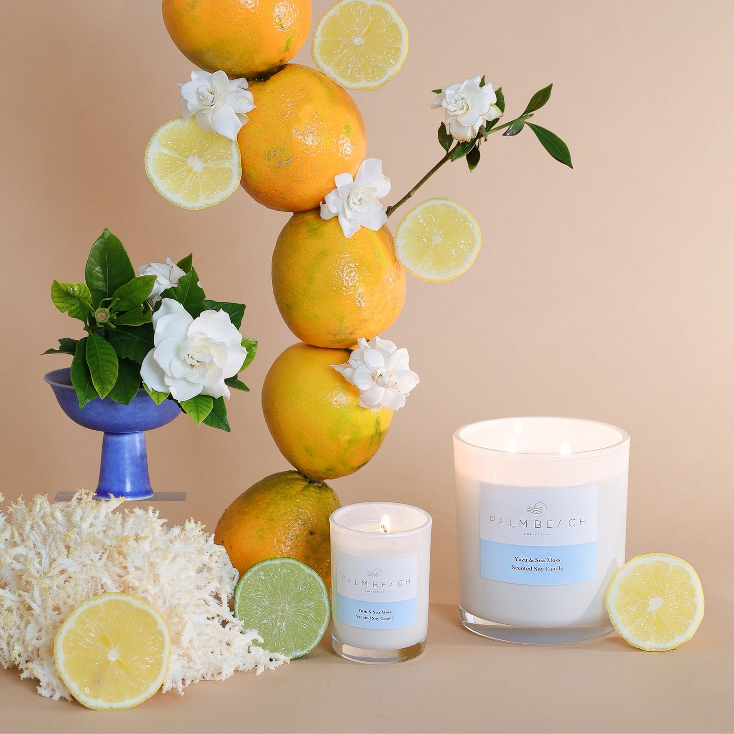Standard Candle - Yuzu & Sea Moss