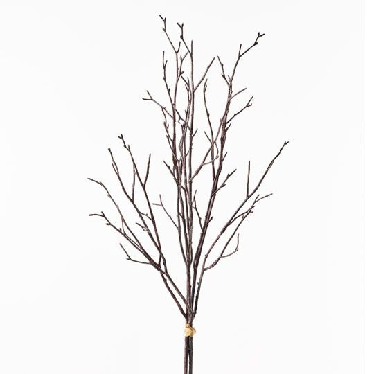 Twig Bundle