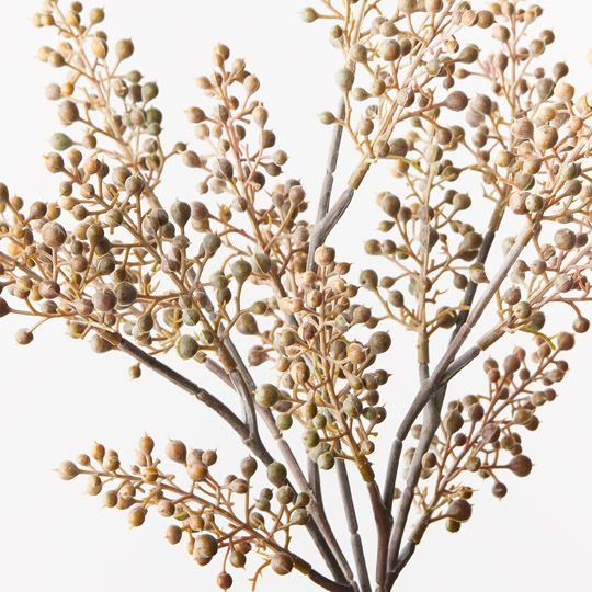 Berry Pepper Bush