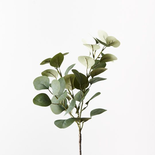 Eucalyptus Spray - Green Grey (40cml)