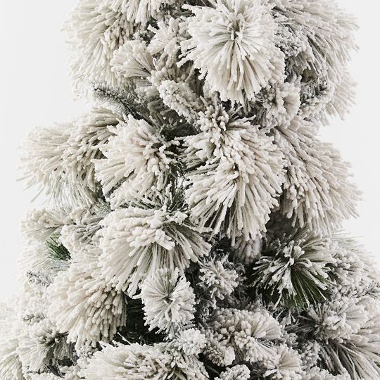 Aspen Pine Tree - White Green