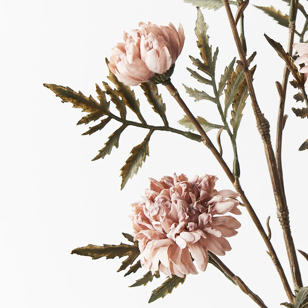 Chrysanthemum Celeste Spray - Dusty Pink