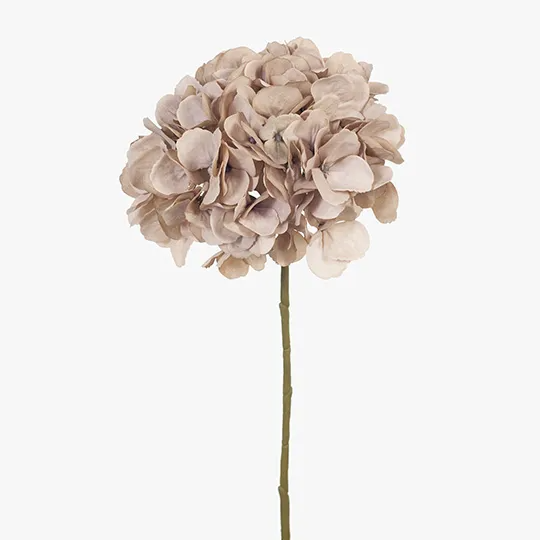 Hydrangea (w/o Leaf) - Light Pink
