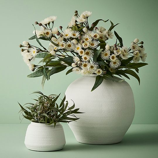 Eucalyptus Flowering Spray - White
