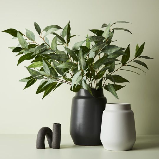 Eucalyptus Spray - Grey Green (91cml)