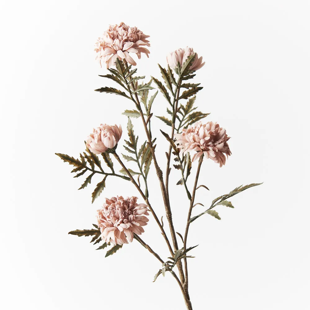 Chrysanthemum Celeste Spray - Dusty Pink