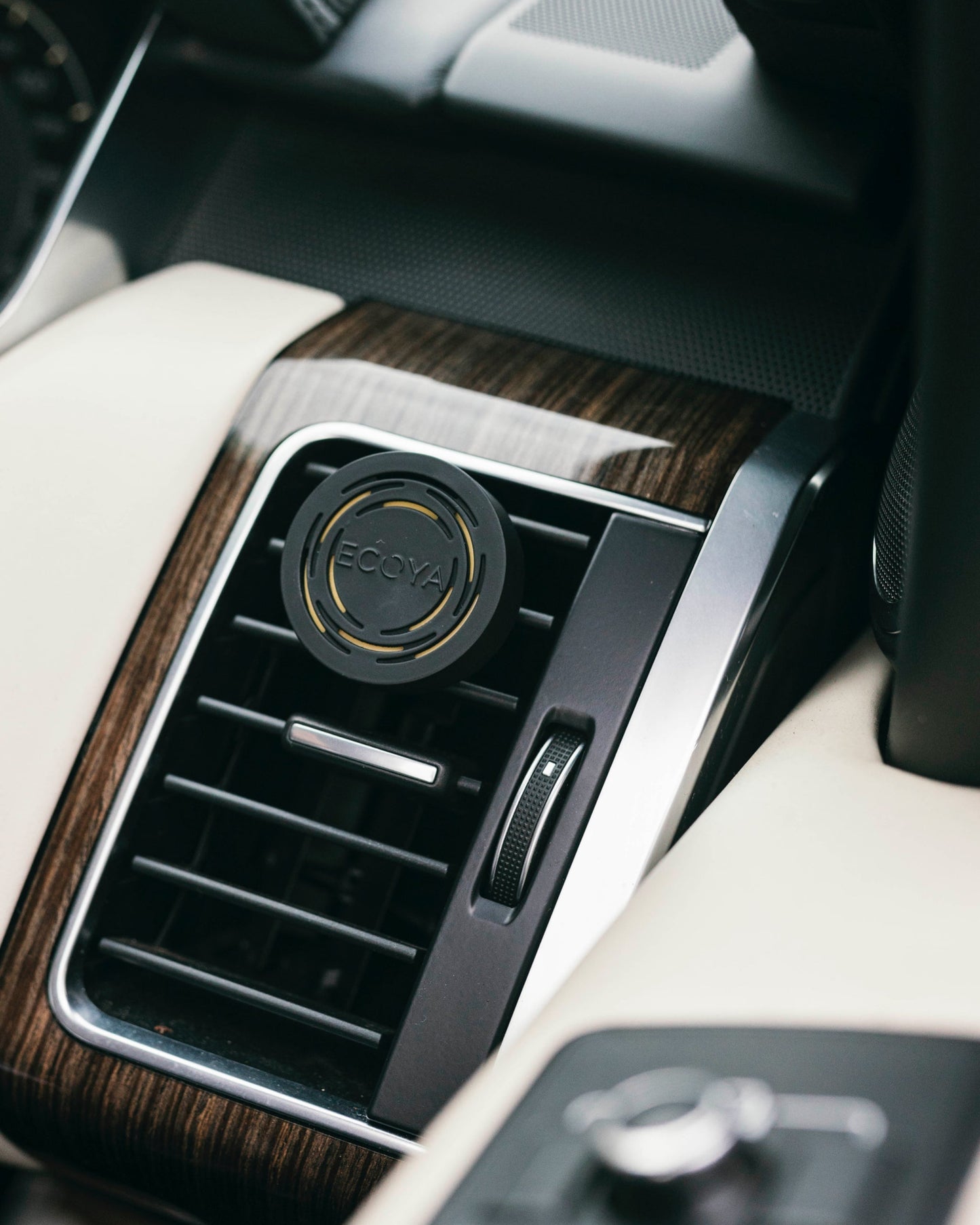 Car Diffuser - French Pear