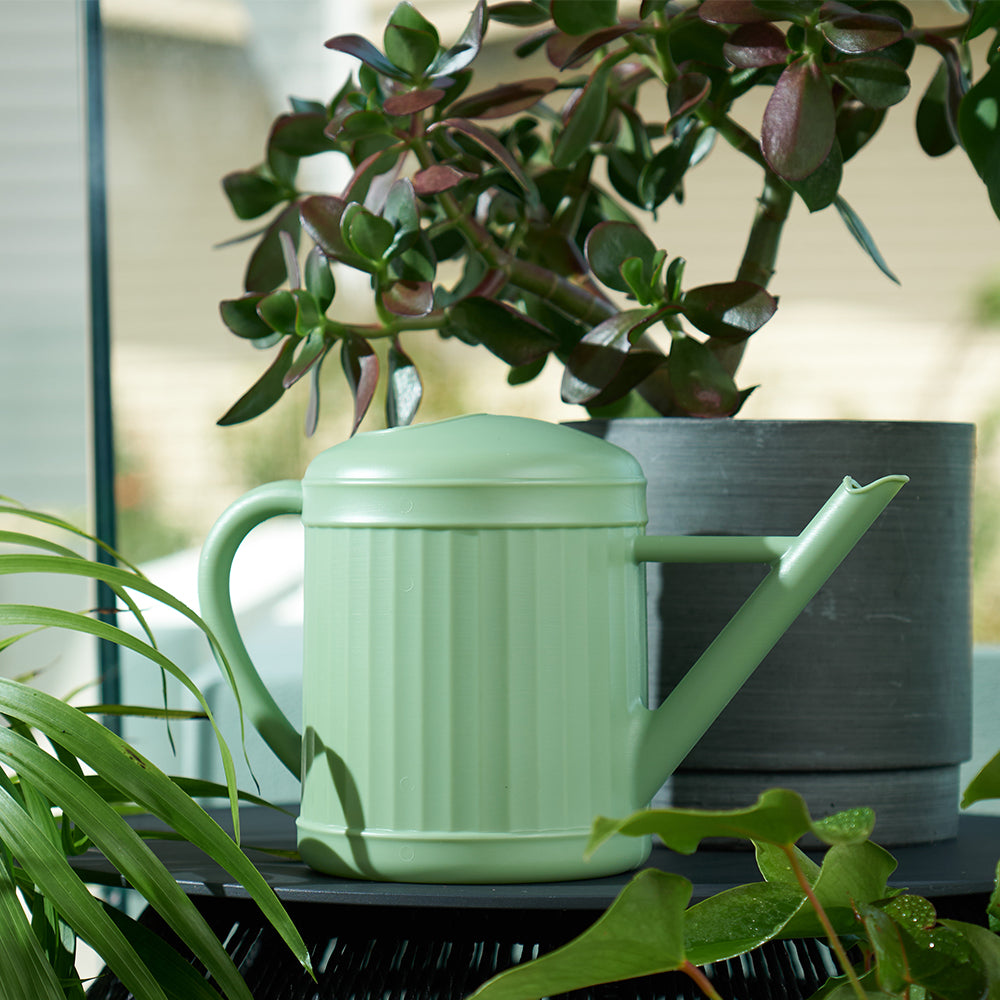 Watering Can - Sage