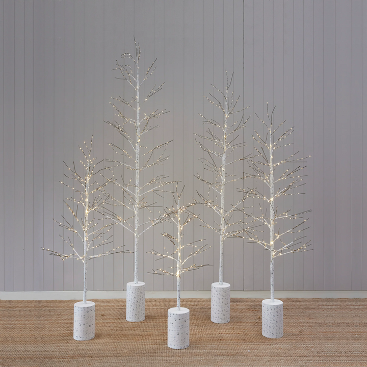 White LED Birch Tree  - 180cm