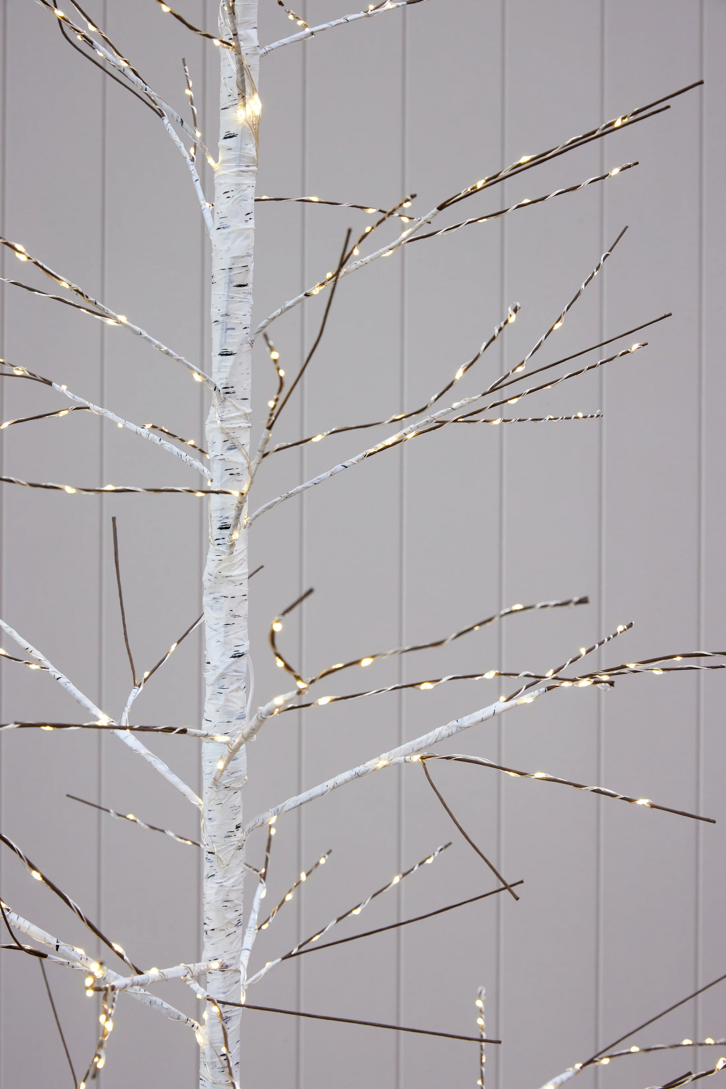 White LED Birch Tree  - 180cm