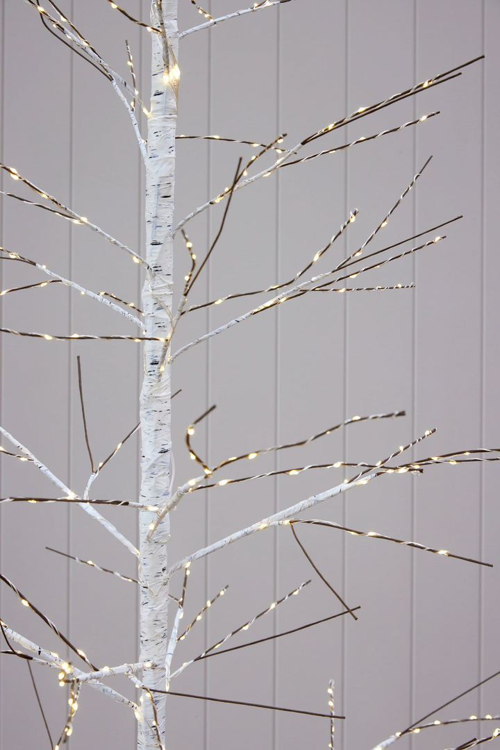 White LED Birch Tree  - 180cm