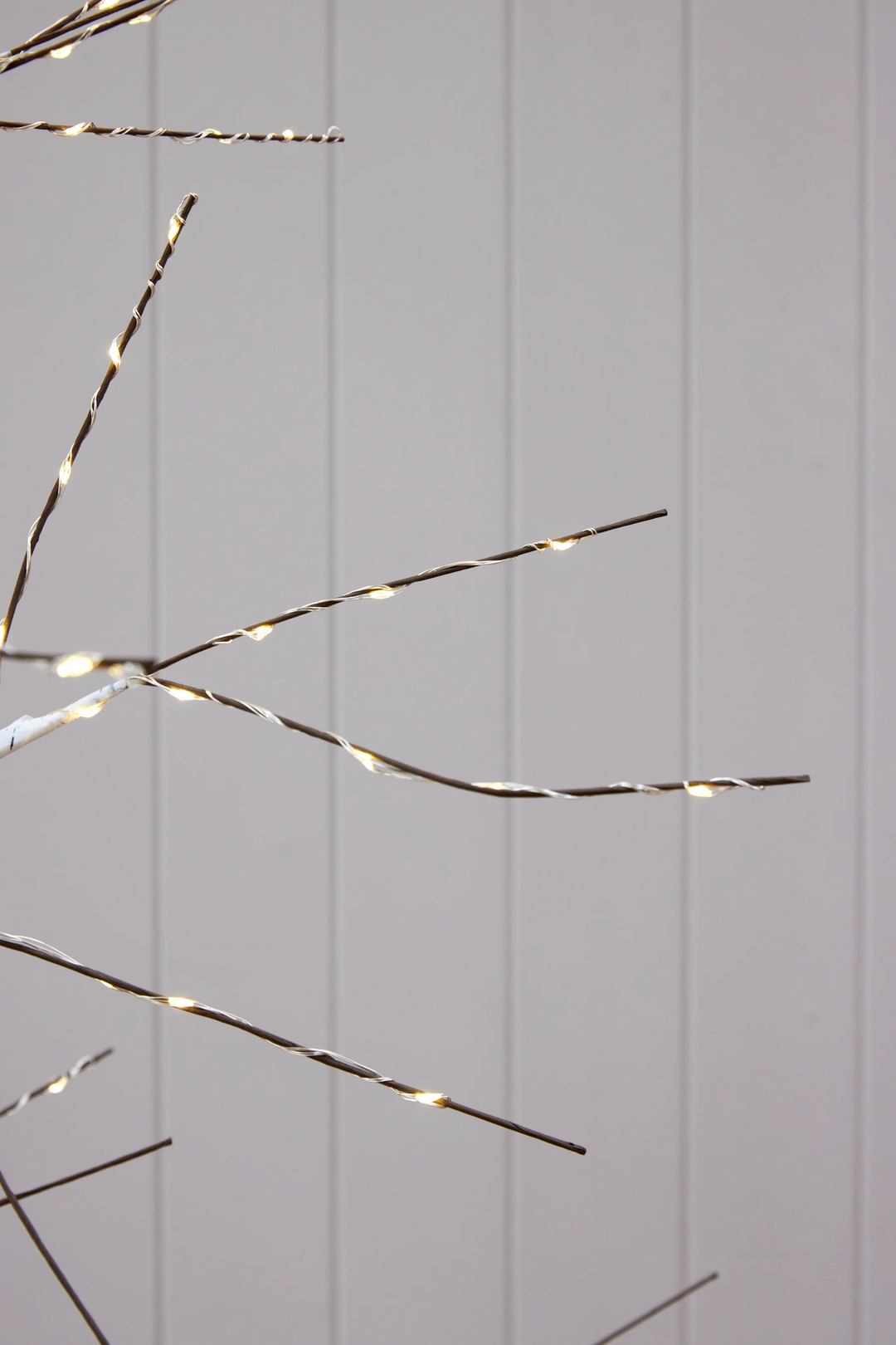 White LED Birch Tree  - 180cm