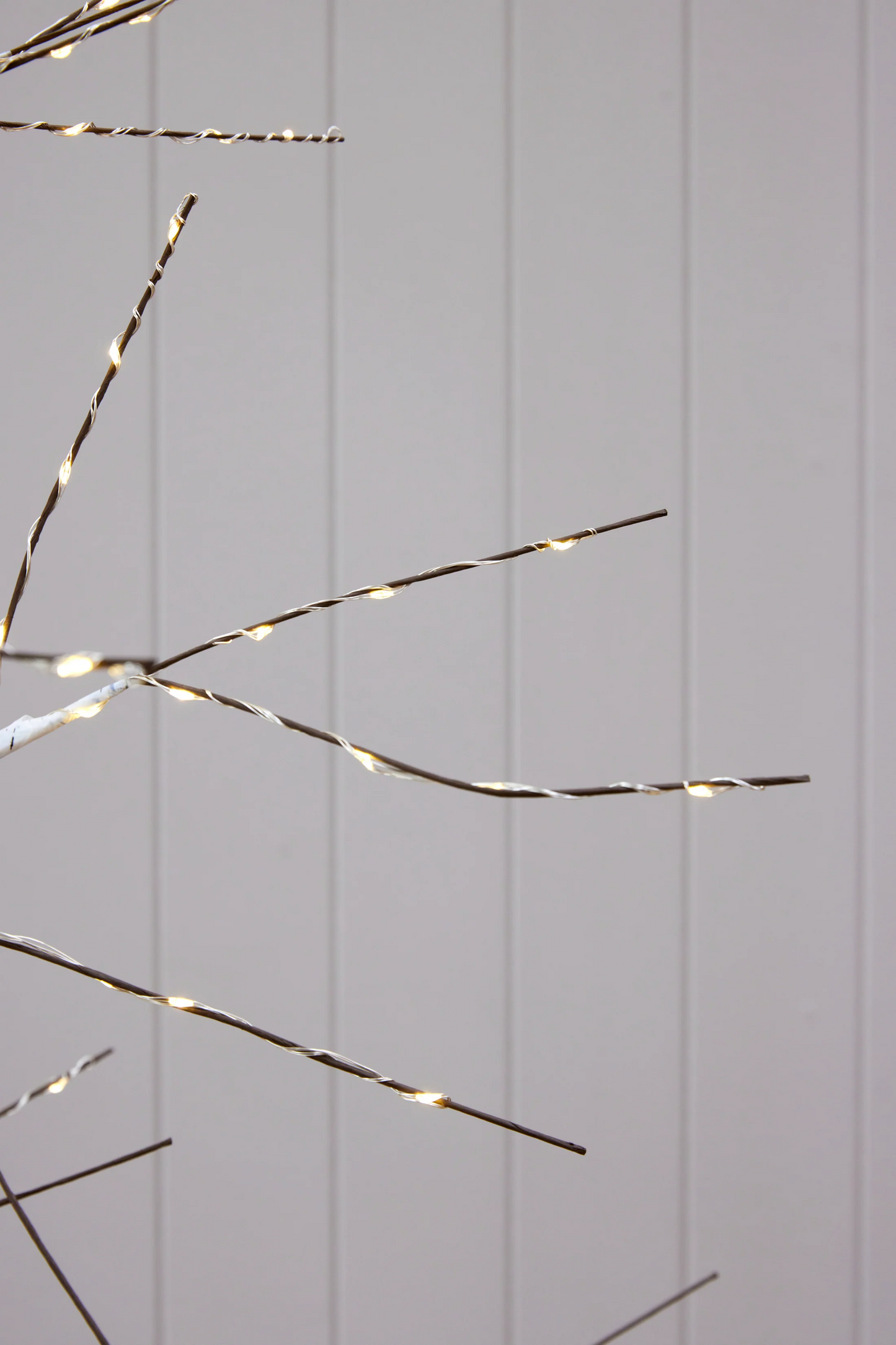 White LED Birch Tree  - 180cm