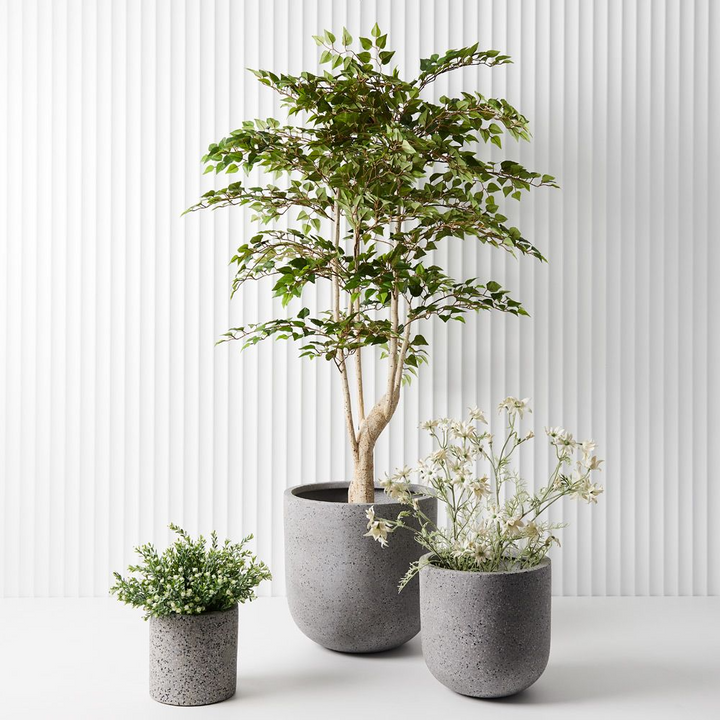 Babys Breath Bush - White