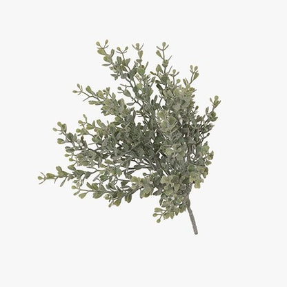 Boxwood Berry Bush