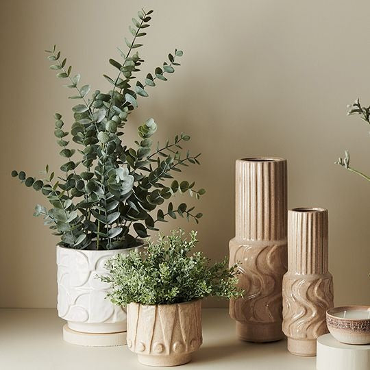 Boxwood Berry Bush