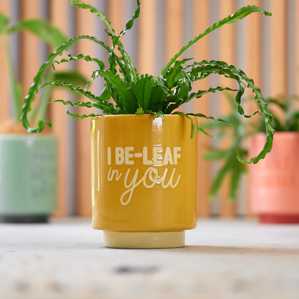 Ceramic Planter - I Be - Leaf In You