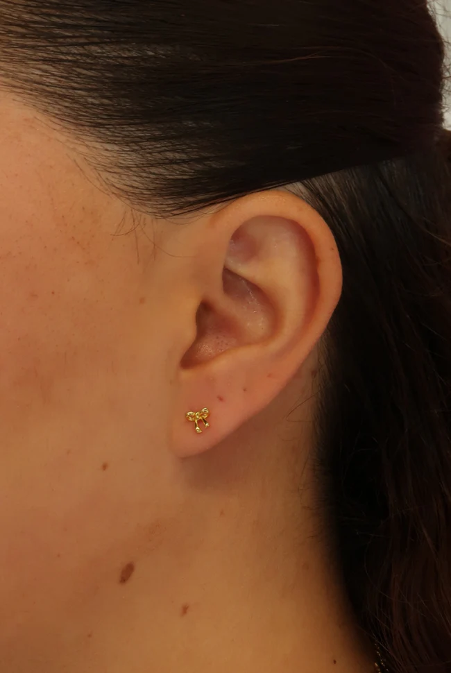 Charlotte Stud Earring – Gold