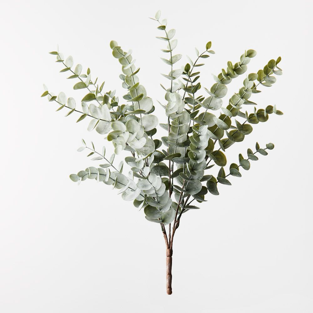Eucalyptus Bush - Green Grey