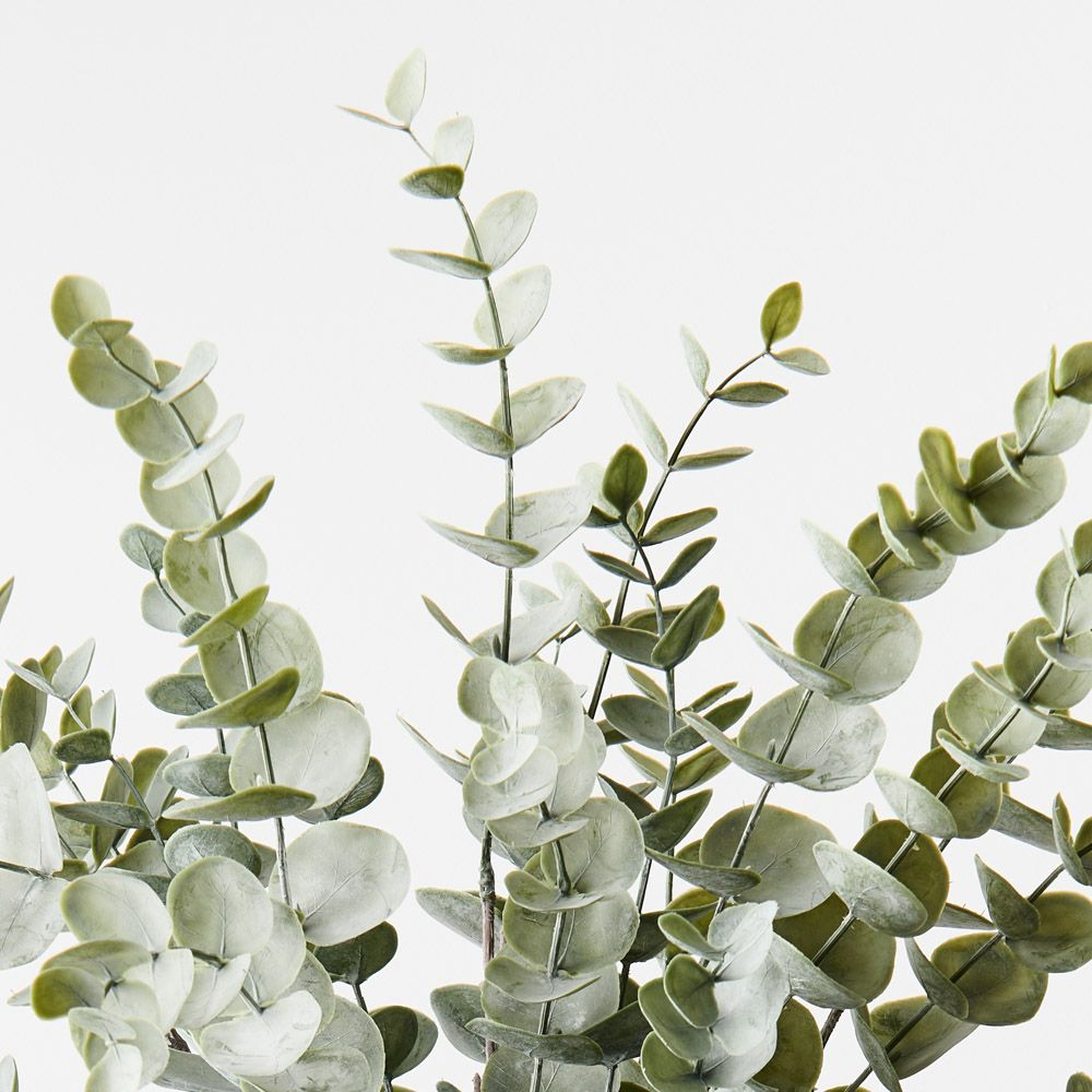 Eucalyptus Bush - Green Grey
