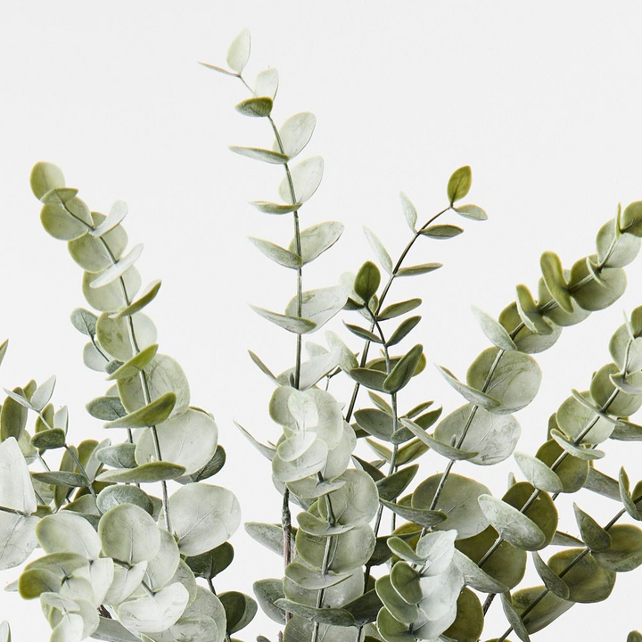 Eucalyptus Bush - Green Grey