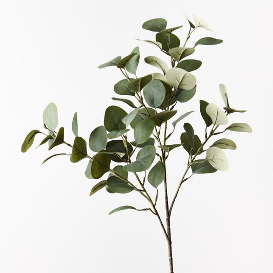 Eucalyptus Spray - Green Grey (74cml)