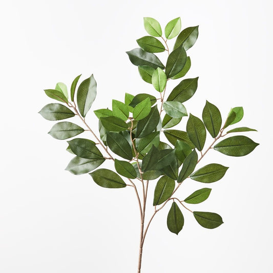Ficus Retusa Leaf Spray - Green