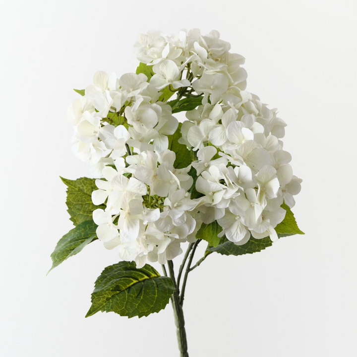Hydrangea Bush - White
