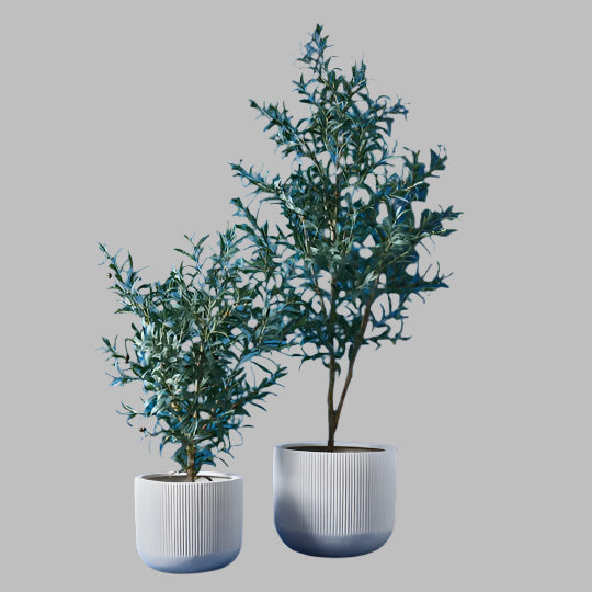 Linear Pot - White