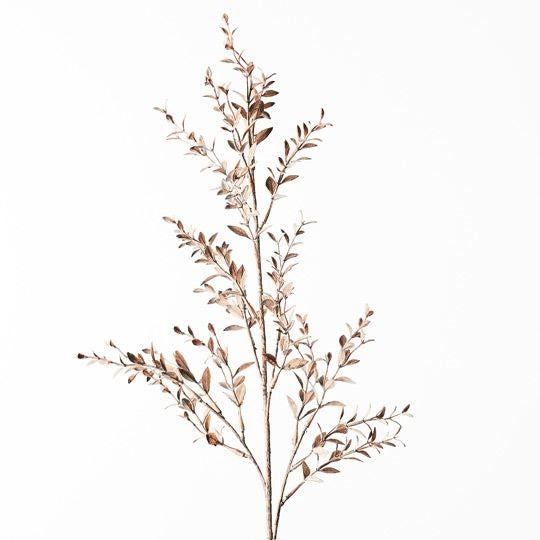Ruscus Spray