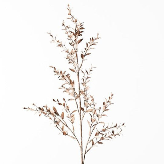 Ruscus Spray