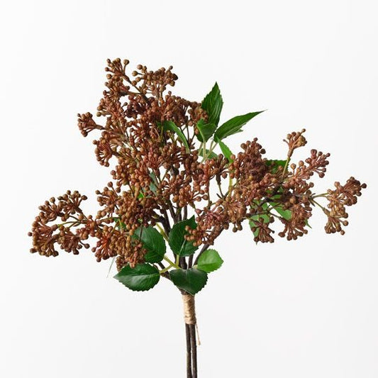 Sedum Bouquet