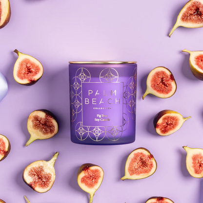 Standard Candle - Fig Tree
