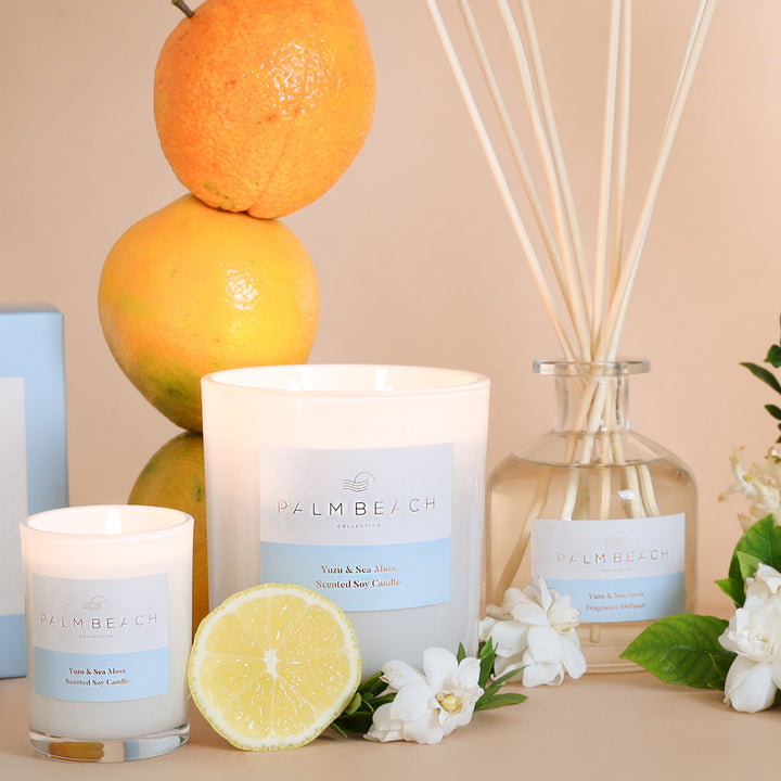 Standard Candle - Yuzu &amp; Sea Moss