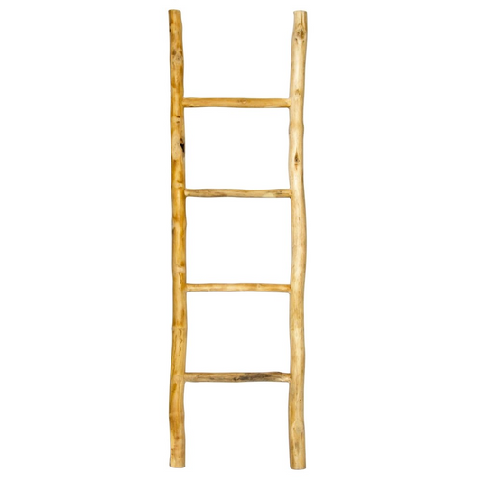 Display Ladder - Teak