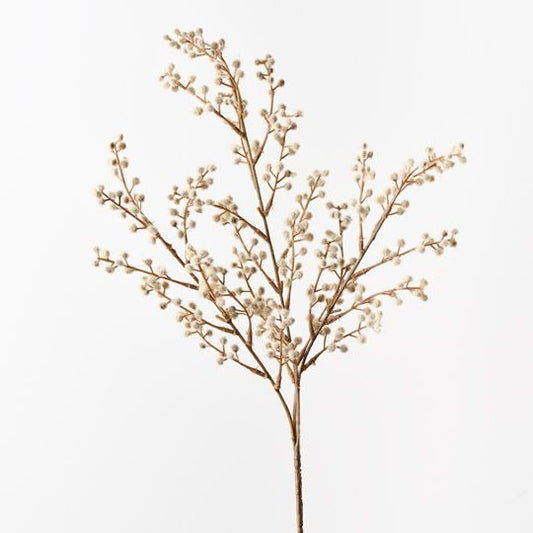 Wattle Spray