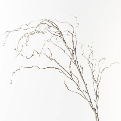Twig Curly Willow Spray (100cm)