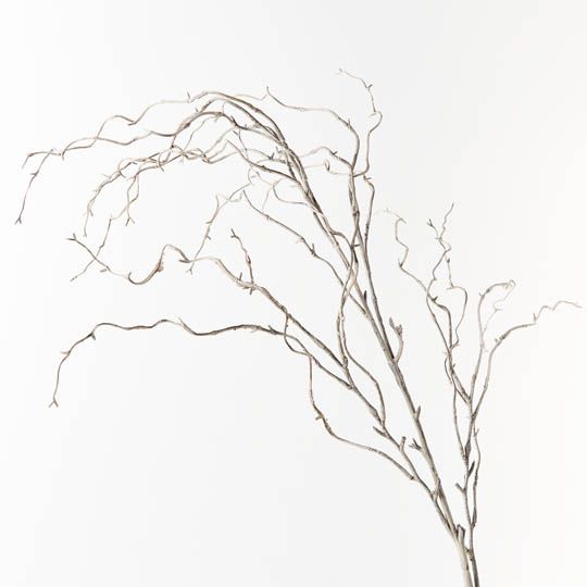 Twig Curly Willow Spray (100cm)