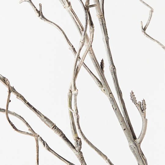Twig Curly Willow Spray (100cm)