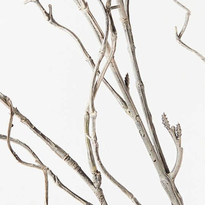 Twig Curly Willow Spray (100cm)