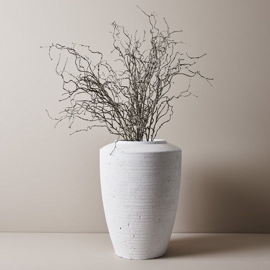 Twig Curly Willow Spray (144cm)