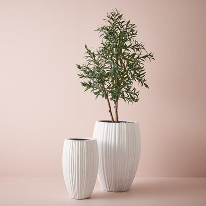 Olive Tree (w/o Fruit) - 170cm