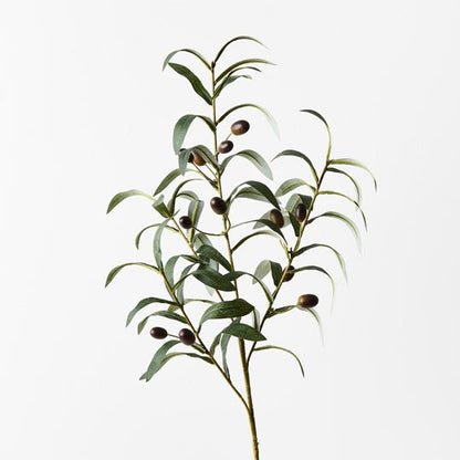 Olive Leaf Spray - Green