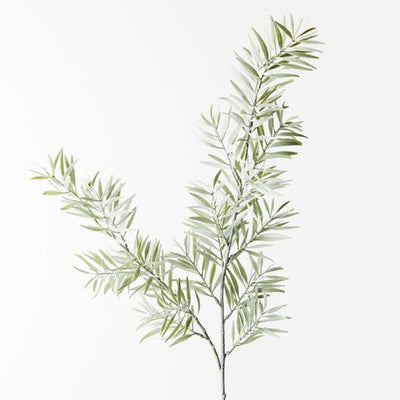 A single Floral Interiors acacia leaf spray with slender leaves and multiple stems, isolated against a white background.