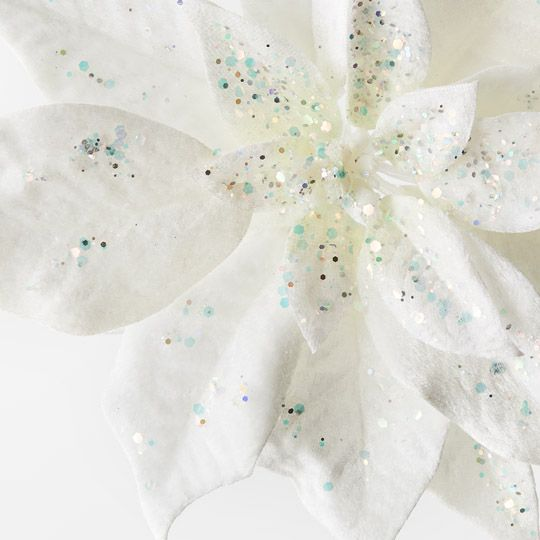 Clip Poinsettia Velvet - White