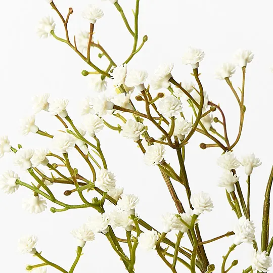 Babys Breath Spray - Cream