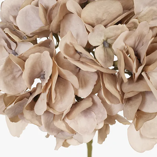 Hydrangea (w/o Leaf) - Light Pink