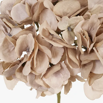 Hydrangea (w/o Leaf) - Light Pink