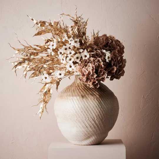 Hydrangea - Coffee