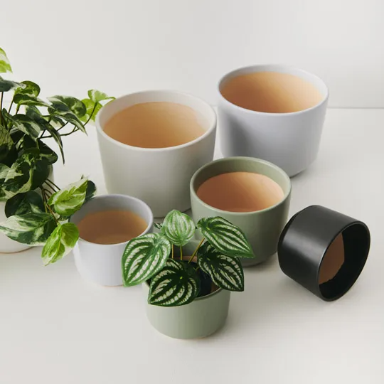Billi Pot - Cream